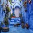 Middle East Trips 
