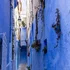 Middle East Trips 